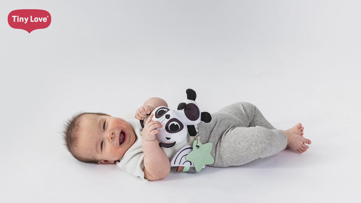 Black & White Panda Take Along Rattle Toy video